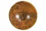 Colorful, Polished Coquina Jasper Bowl #297638-1